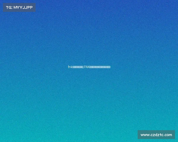 fnk电子竞技俱乐部,FNK战队风云再起，聚焦电竞新征程